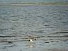 DSC01738.jpg