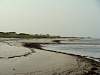 DSC01746.jpg